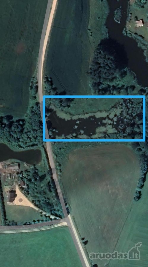 Vaizdingoje vietoje parduodamas žemės sklypas - nuotraukos Nr. 3