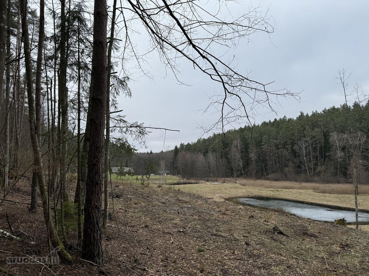1,56ha kraštinis sklypas(1/3 miškas)unikalus - nuotraukos Nr. 3