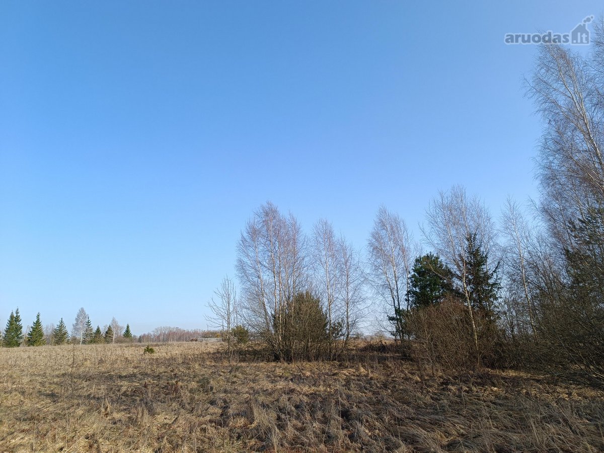 30 arų namų valdos sklypas, bendras 2,51 ha ploto - nuotraukos Nr. 18