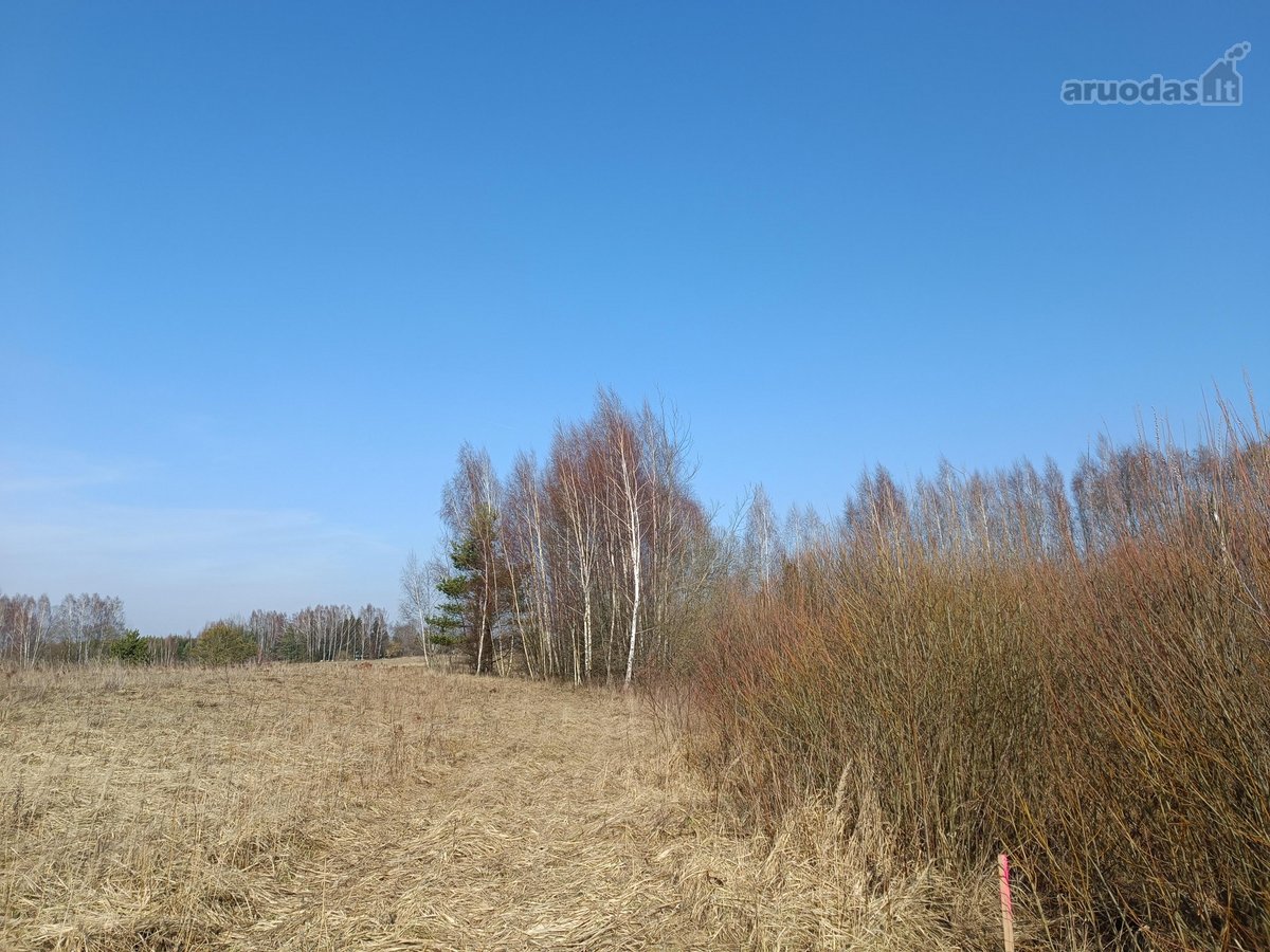 30 arų namų valdos sklypas, bendras 2,51 ha ploto - nuotraukos Nr. 21