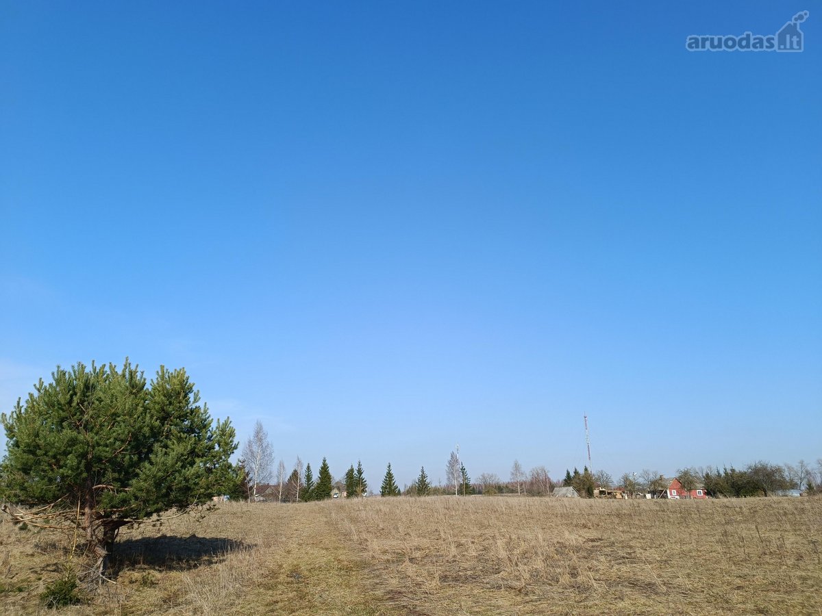 30 arų namų valdos sklypas, bendras 2,51 ha ploto - nuotraukos Nr. 22