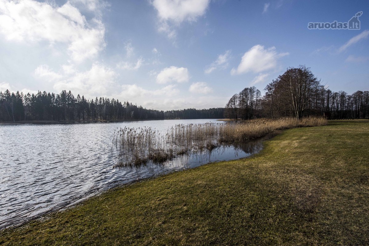 Parduodamas 4,39ha ploto žemės ūkio - nuotraukos Nr. 11