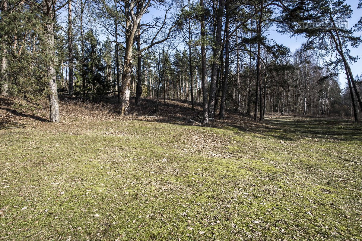 Parduodame 22 arų namų valdos sklypą su - nuotraukos Nr. 5