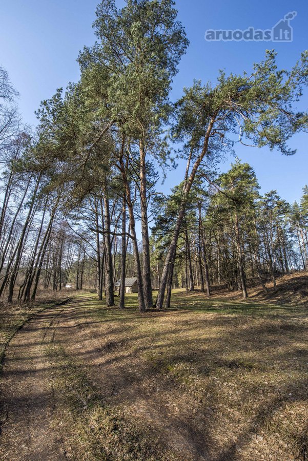 Parduodame 22 arų namų valdos sklypą su - nuotraukos Nr. 2