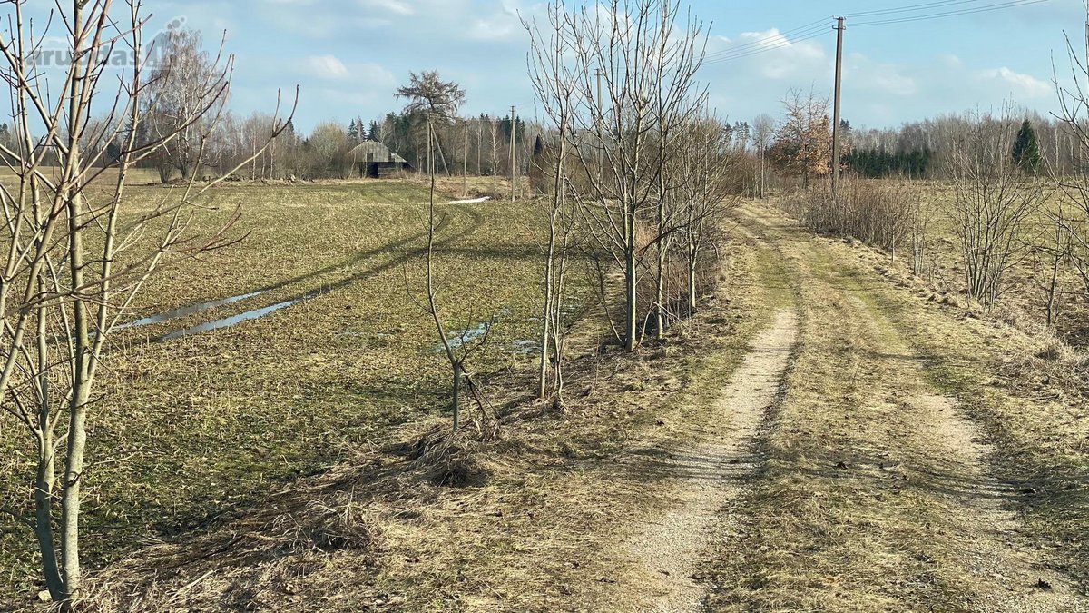 Parduodama sodyba Ignalinos raj. gamtos - nuotraukos Nr. 15
