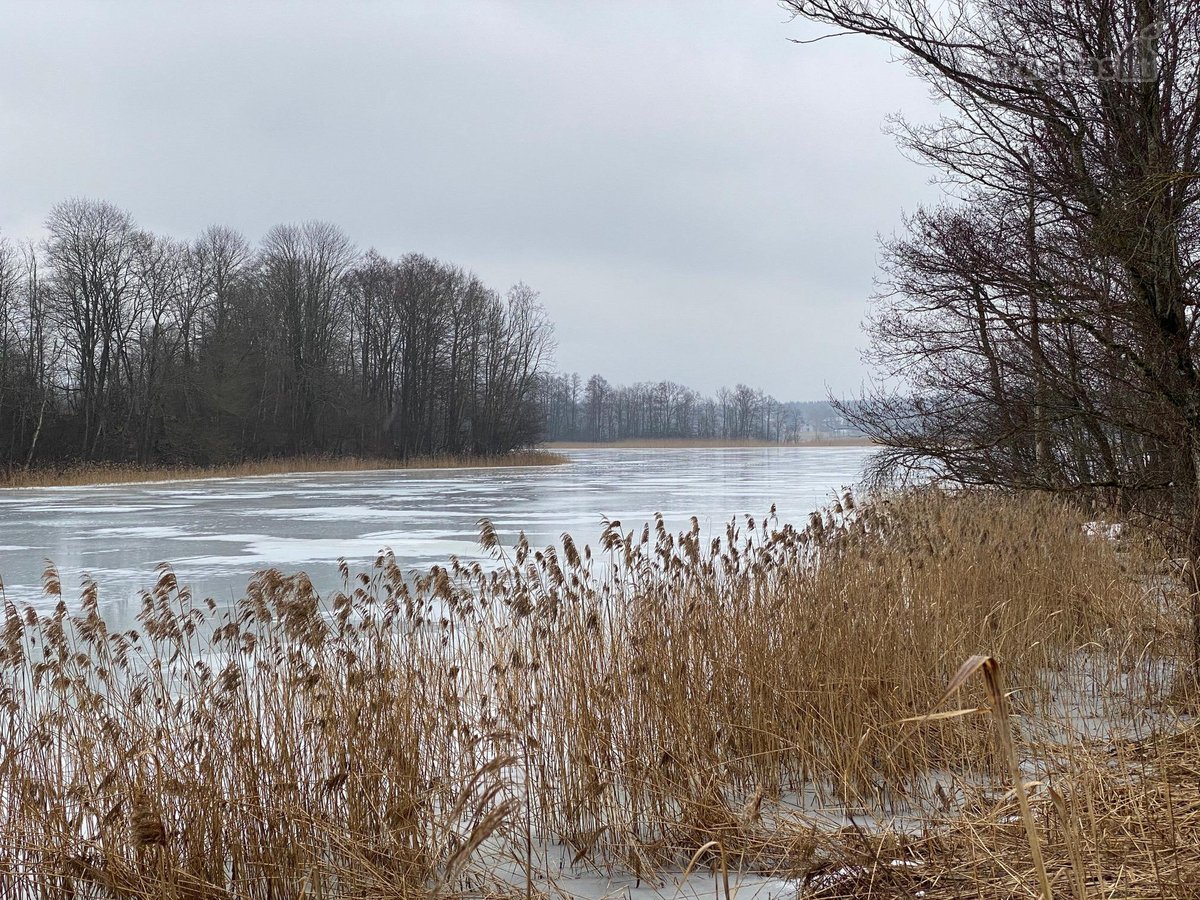 Parduodamas žemės sklypas su pakrante prie - nuotraukos Nr. 13