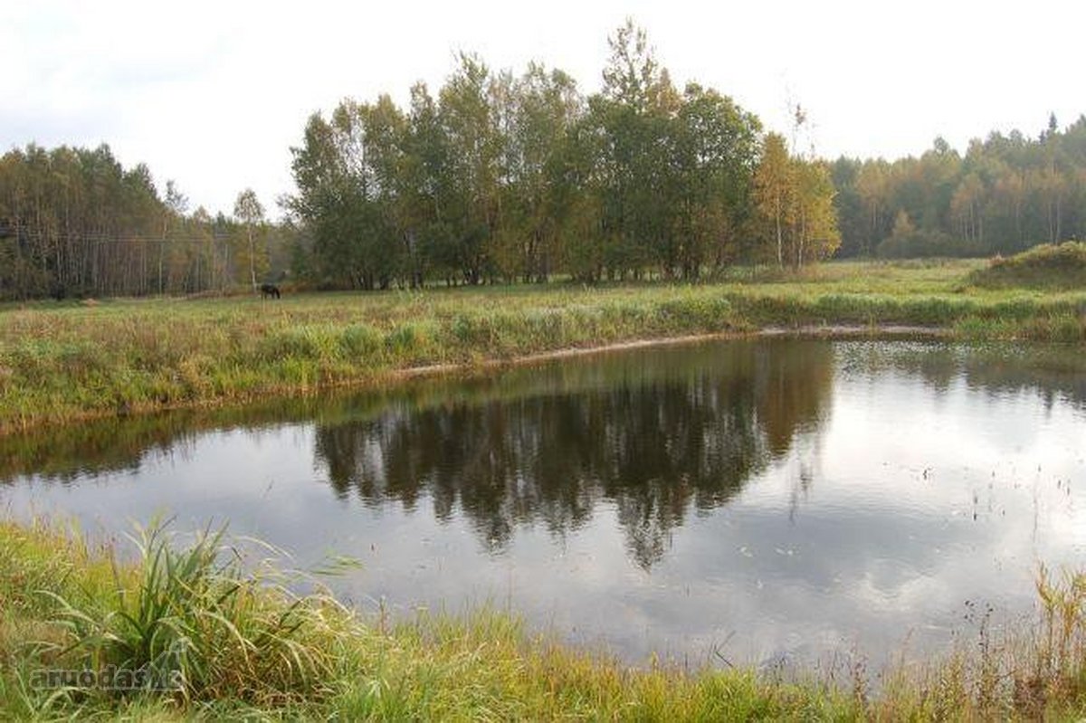 Parduodami trys žemės ūkio paskirties sklypai - nuotraukos Nr. 7