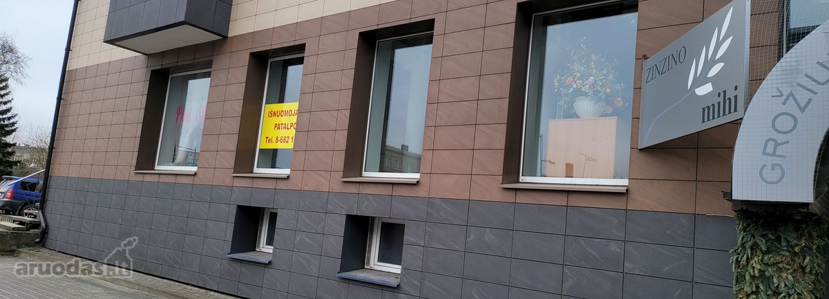 Panevėžio centre, judriausioje miesto gatvėje - nuotraukos Nr. 4