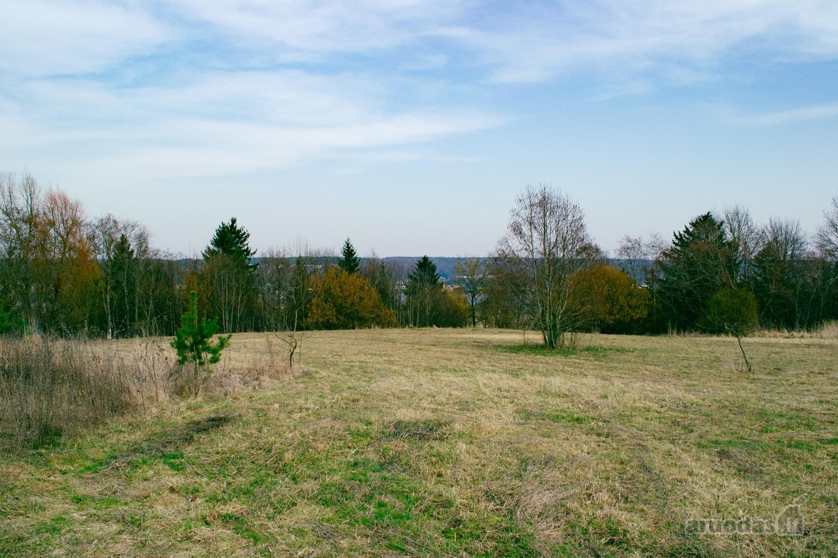 Parduodami Žemės Sklypai (Namų Valdos) Pyplių - nuotraukos Nr. 9