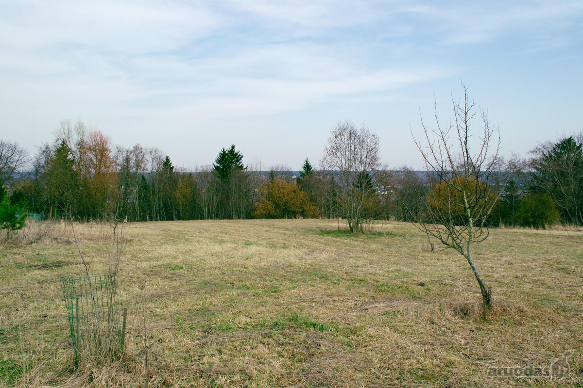 Parduodami Žemės Sklypai (Namų Valdos) Pyplių - nuotraukos Nr. 10