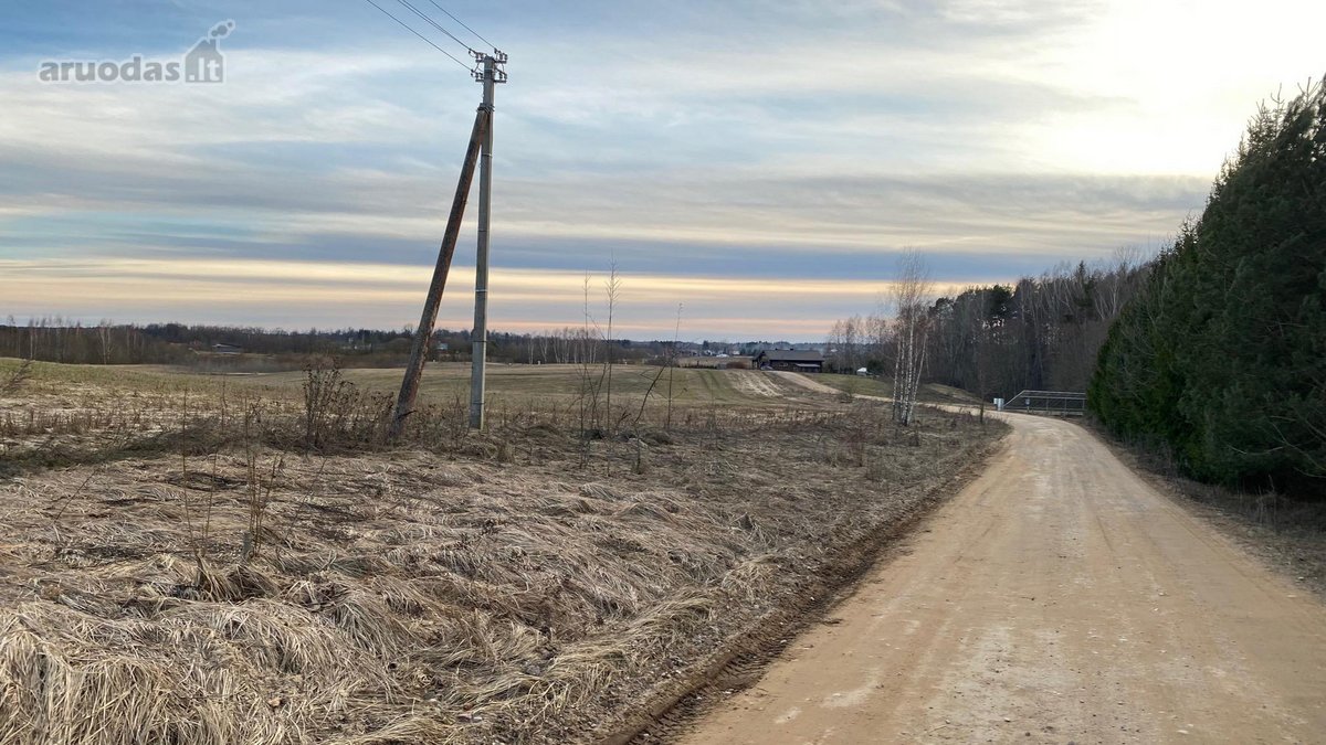 Parduodamas žemės sklypas 75 arų Dvaro g. - nuotraukos Nr. 17