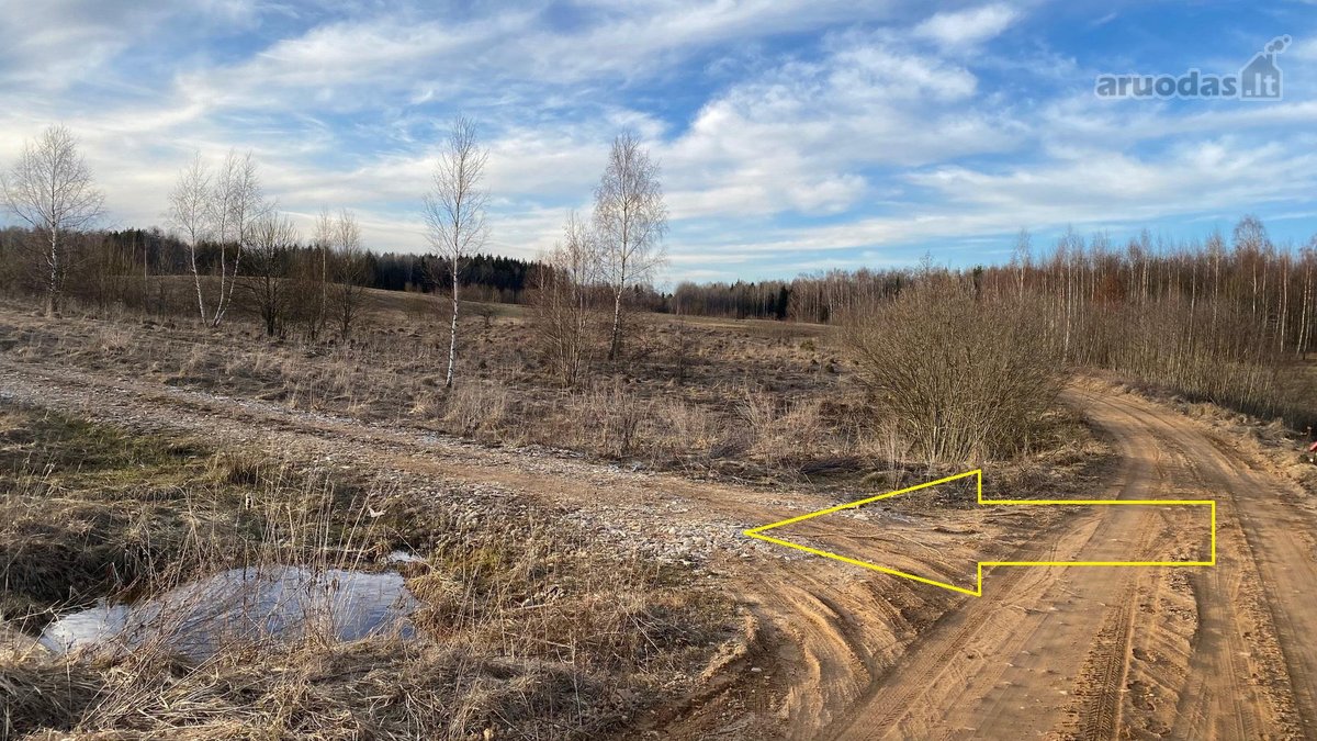 Parduodamas žemės sklypas 75 arų Dvaro g. - nuotraukos Nr. 18