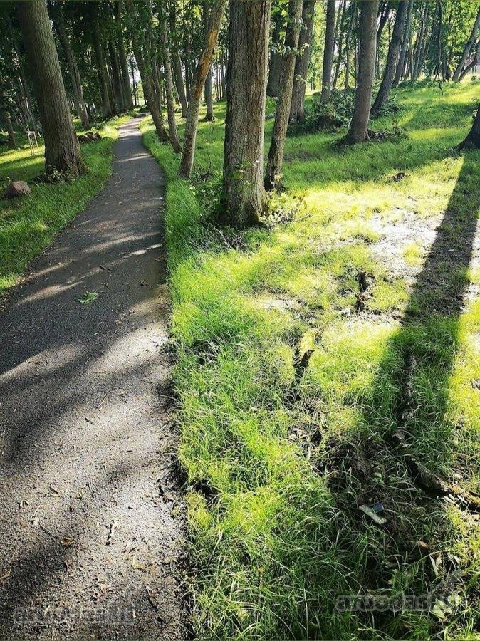 Parduodamas žemės sklypas 75 arų Dvaro g. - nuotraukos Nr. 22