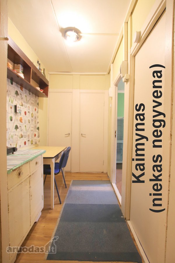 Galima su naminiais gyvūnėliais - nuotraukos Nr. 10