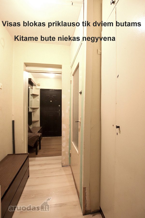 Galima su naminiais gyvūnėliais - nuotraukos Nr. 11