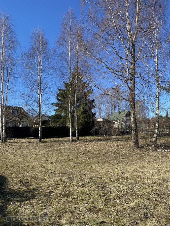 Parduodamas unikalus, taisyklingos formos, - nuotraukos Nr. 6