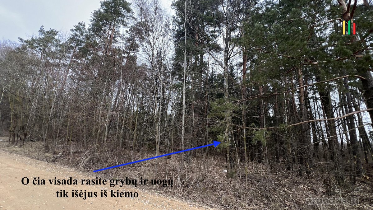 Jau galite rezervuoti statomus namus - nuotraukos Nr. 11