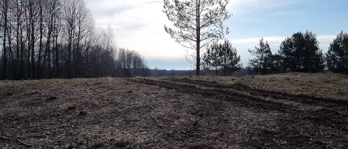 Parduodamas žemės sklypas, kurį sudaro žemės - nuotraukos Nr. 7