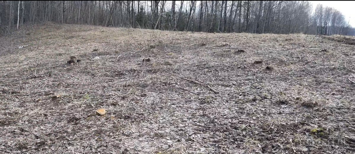 Parduodamas žemės sklypas, kurį sudaro žemės - nuotraukos Nr. 6