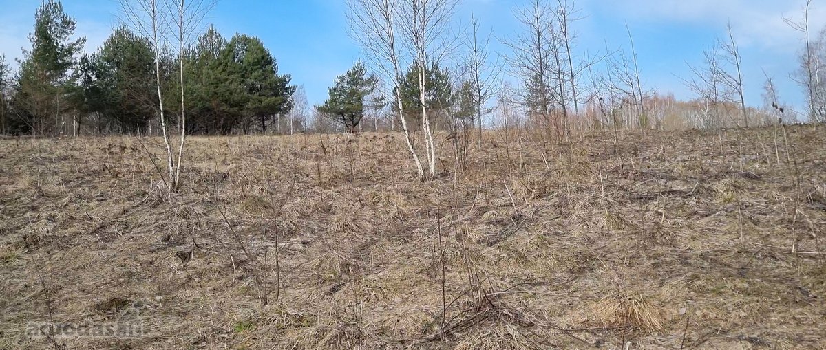 Parduodamas žemės sklypas, kurį sudaro žemės - nuotraukos Nr. 3