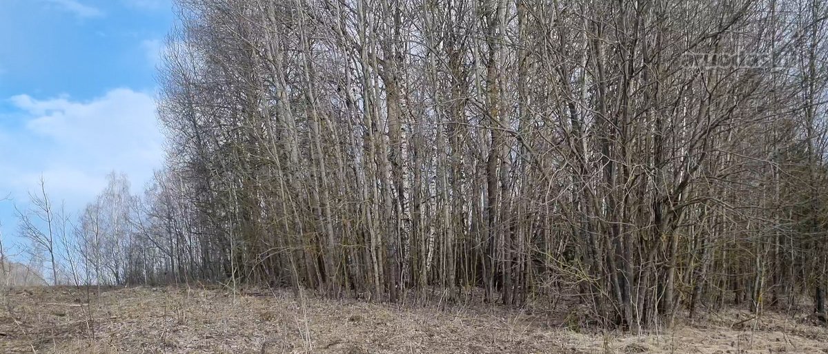 Parduodamas žemės sklypas, kurį sudaro žemės - nuotraukos Nr. 9
