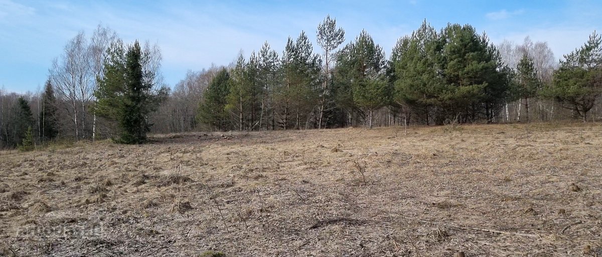 Parduodamas žemės sklypas, kurį sudaro žemės - nuotraukos Nr. 2