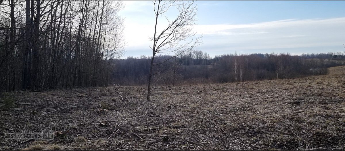 Parduodamas žemės sklypas, kurį sudaro žemės - nuotraukos Nr. 8