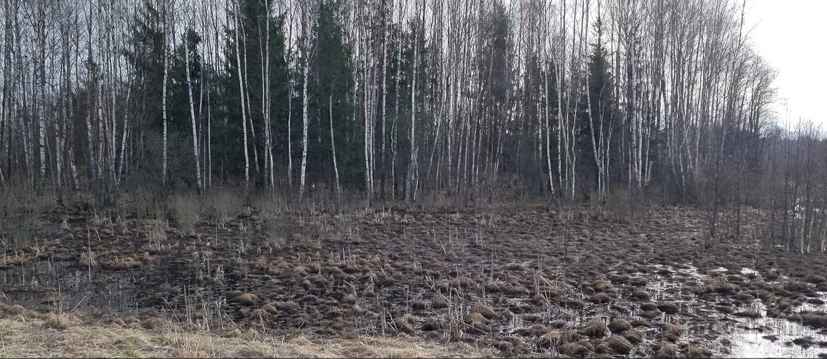 Parduodamas žemės sklypas, kurį sudaro žemės - nuotraukos Nr. 14