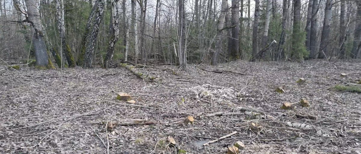 Parduodamas žemės sklypas, kurį sudaro žemės - nuotraukos Nr. 12