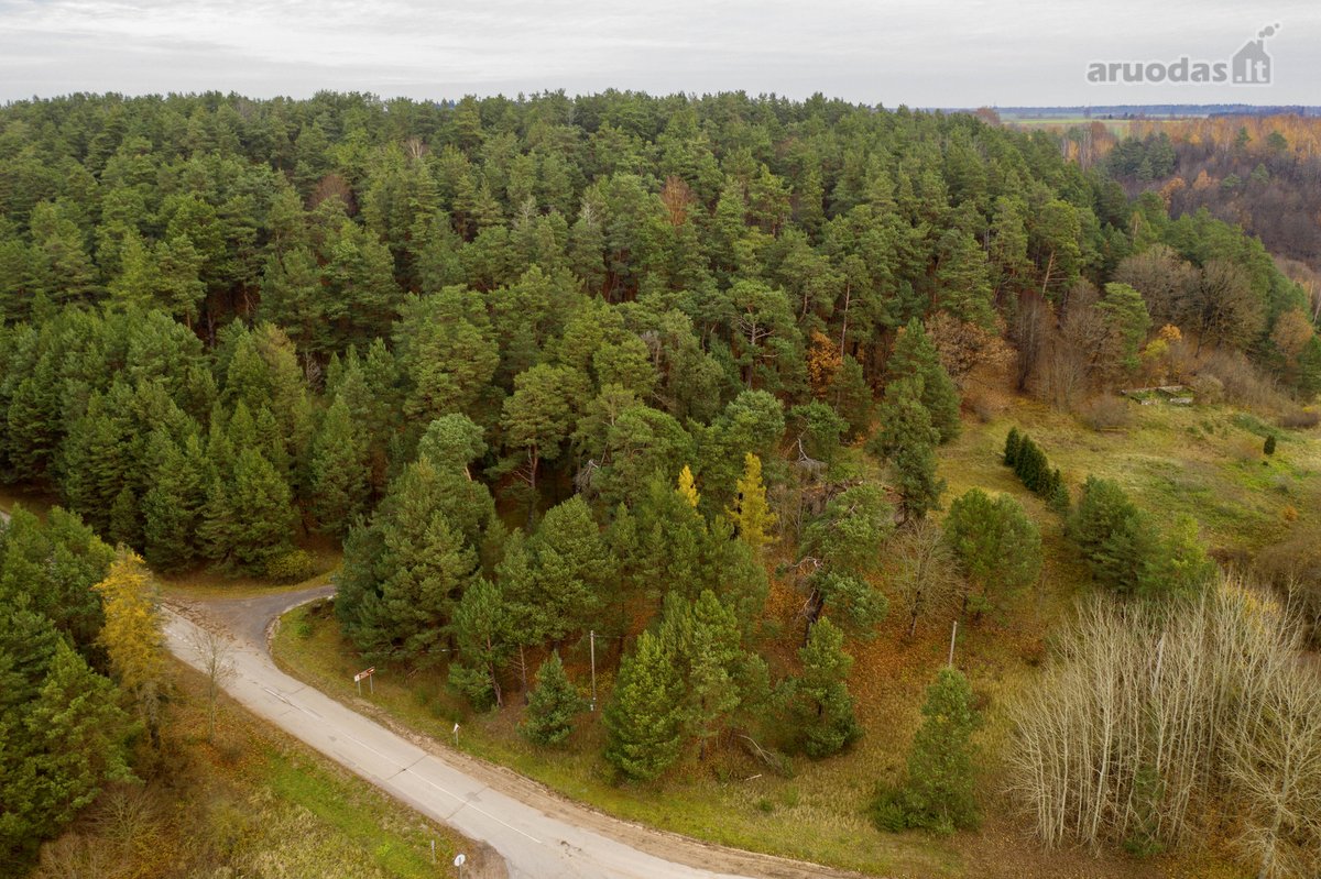 Parduodamas Unikalus Sklypas Patrauklioje - nuotraukos Nr. 11
