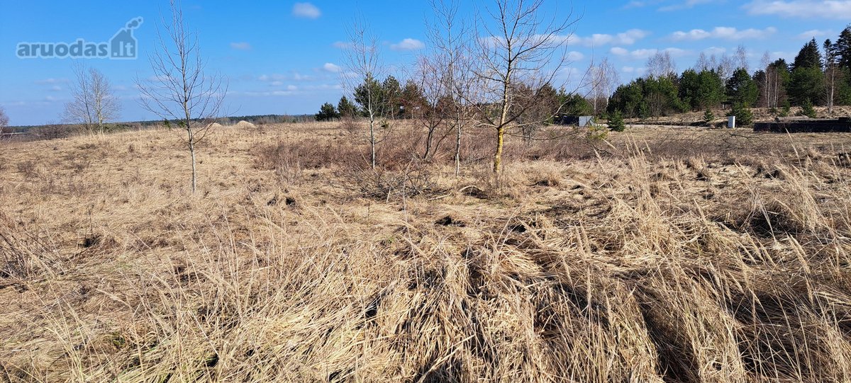 Parduodami namų valdos sklypai (vienbučių - nuotraukos Nr. 6