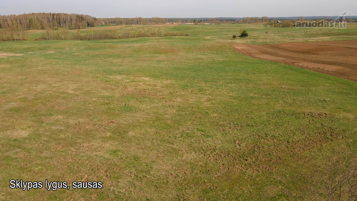 Parduodamas 3.47 ha. ploto žemės sklypas - nuotraukos Nr. 11