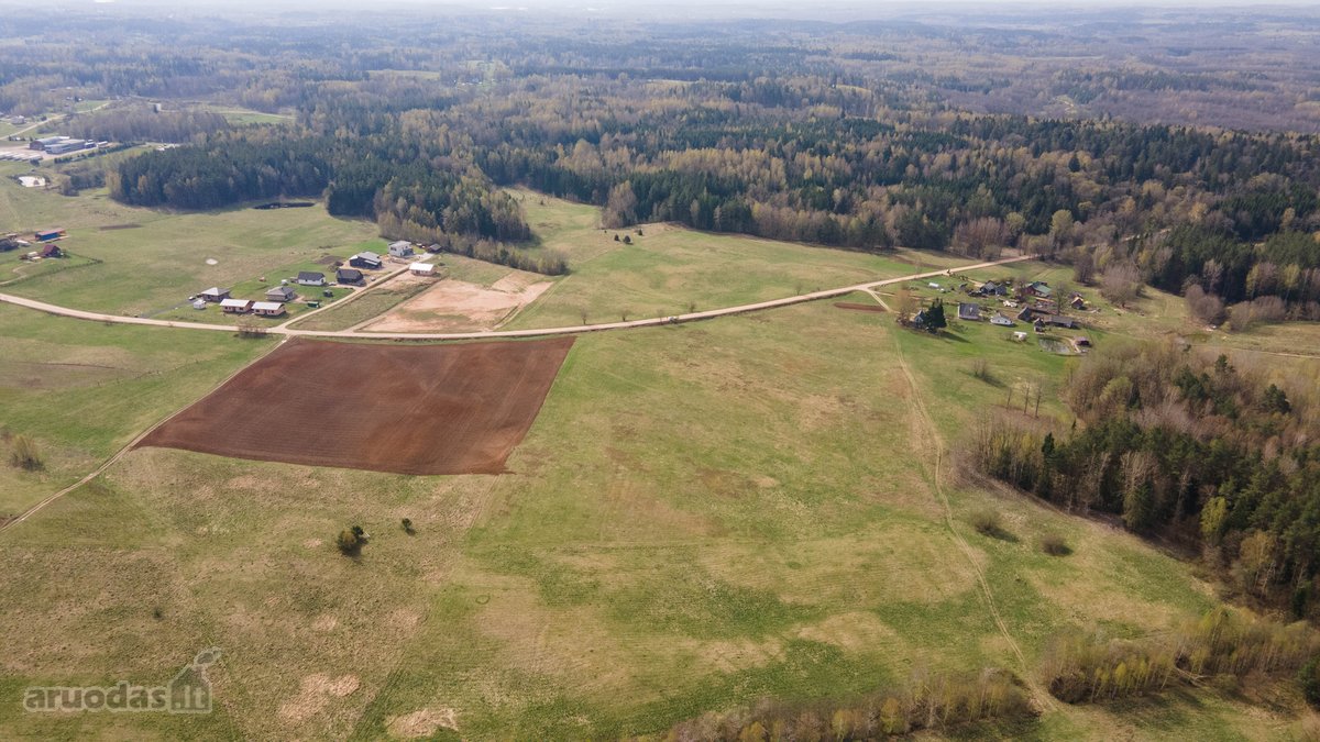 Parduodamas 3.47 ha. ploto žemės sklypas - nuotraukos Nr. 7
