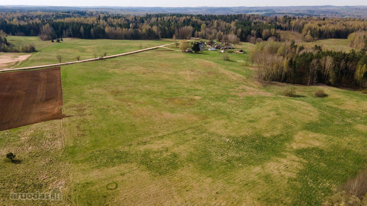 3,47 ha sklypas Lazdėnuose – tik 1,7 km iki - nuotraukos Nr. 2