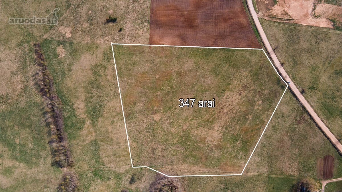 Parduodamas 3.47 ha. ploto žemės sklypas - nuotraukos Nr. 9