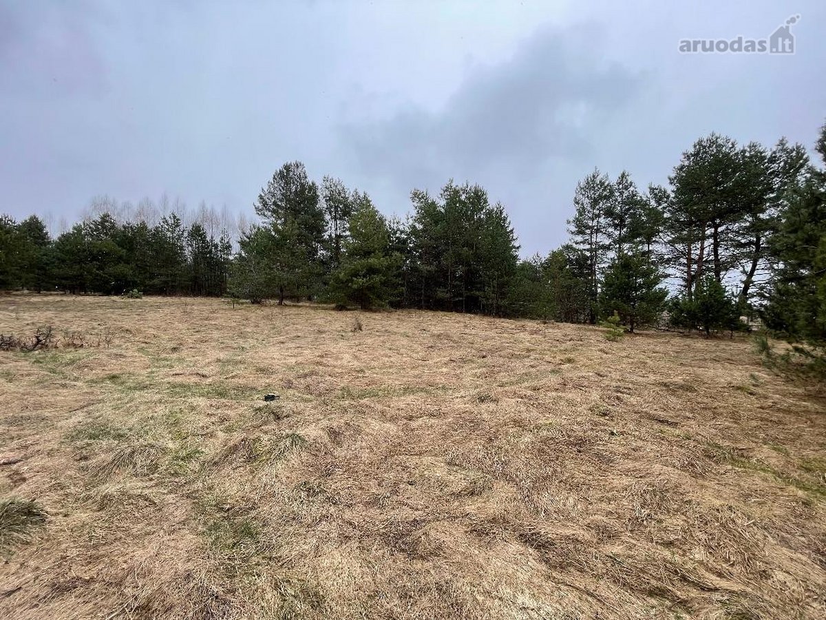 45 arų sklypas gamtoje Pamerkių kaime. Sklype