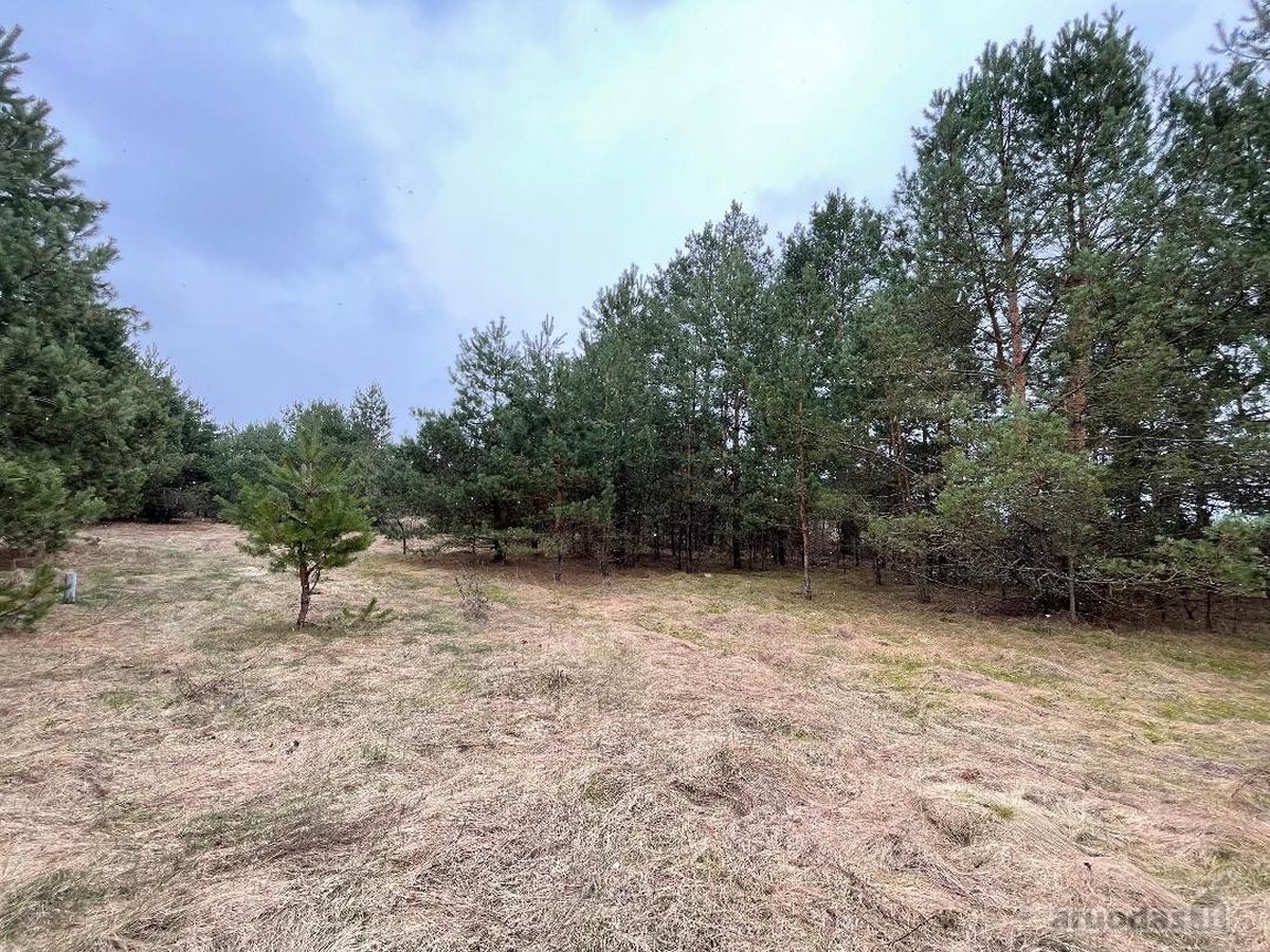 45 arų sklypas gamtoje Pamerkių kaime. Sklype - nuotraukos Nr. 2