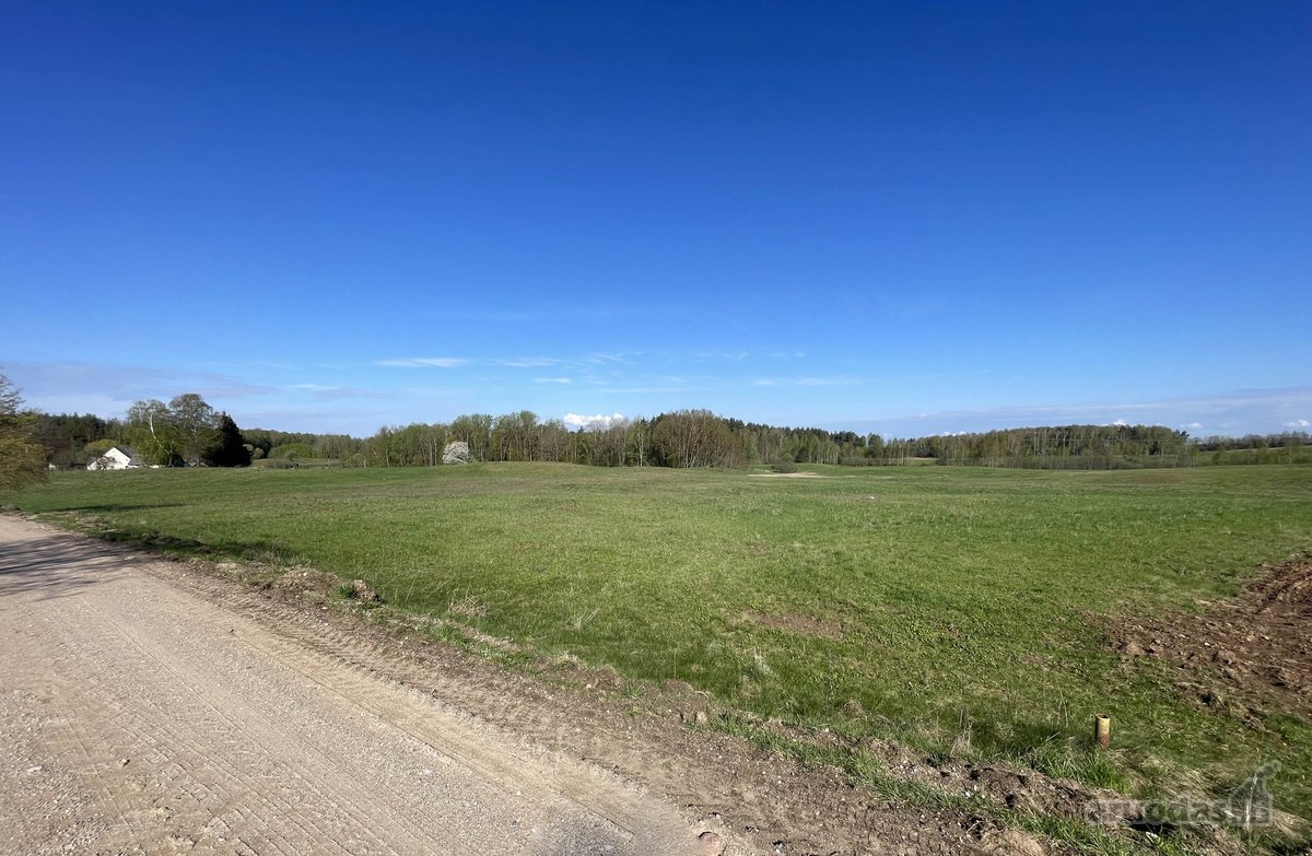 Parduodamas 3.47 ha. ploto žemės sklypas - nuotraukos Nr. 13