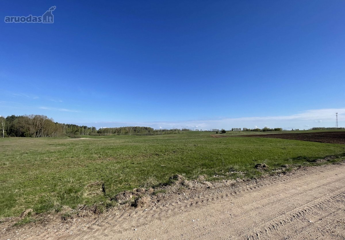Parduodamas 3.47 ha. ploto žemės sklypas - nuotraukos Nr. 14