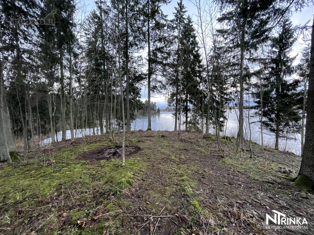 Parduodamas Unikalus Sklypas, Prie Šiaulių Miesto. - nuotraukos Nr. 10