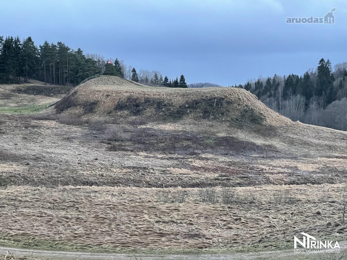 Parduodamas Unikalus Sklypas, Prie Šiaulių Miesto. - nuotraukos Nr. 13