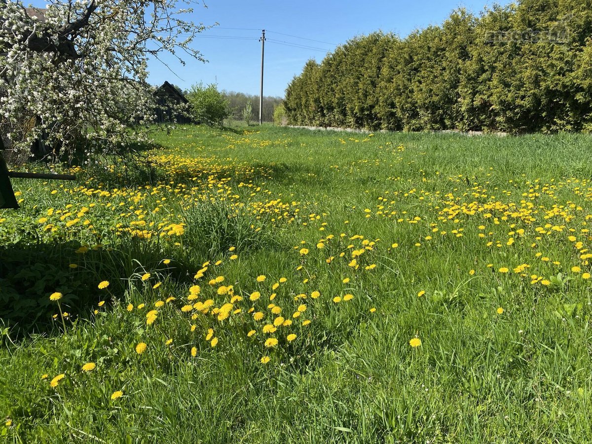 Parduodamas 38,21 aro žemės sklypas su 56 kv. - nuotraukos Nr. 4