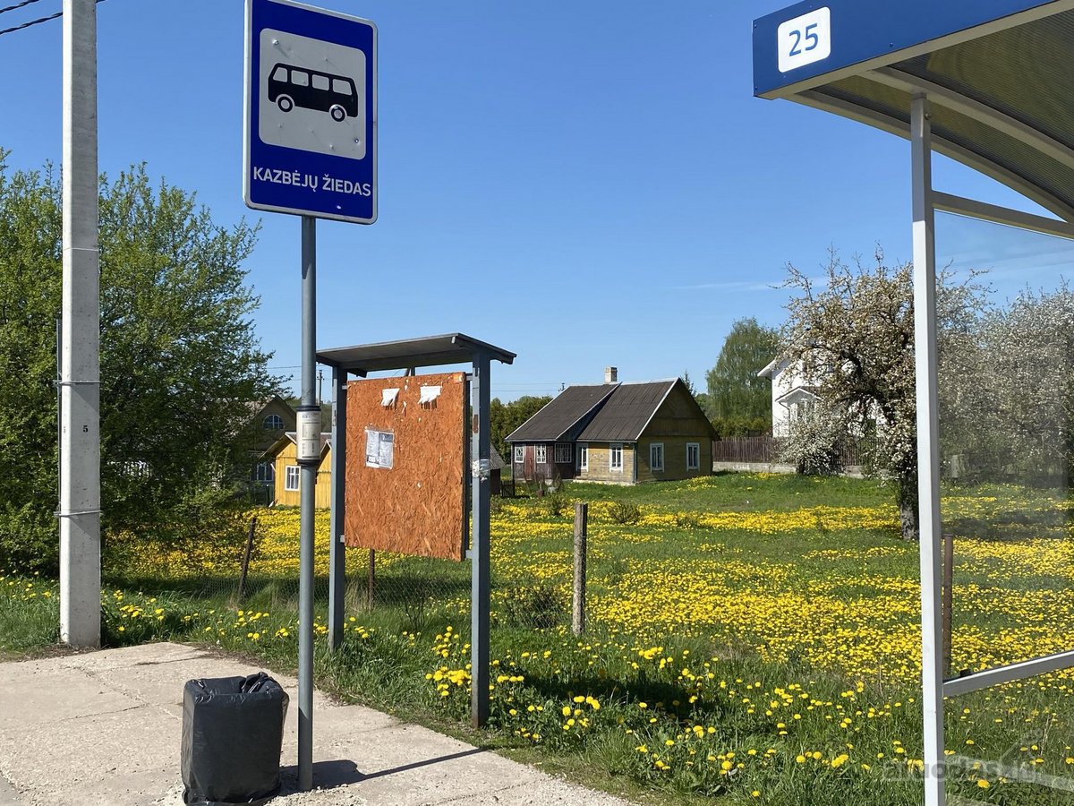 Parduodamas 38,21 aro žemės sklypas su 56 kv. - nuotraukos Nr. 5