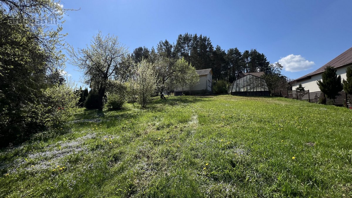 Parduodamas sodo namas šalia miško. Sklypo - nuotraukos Nr. 3