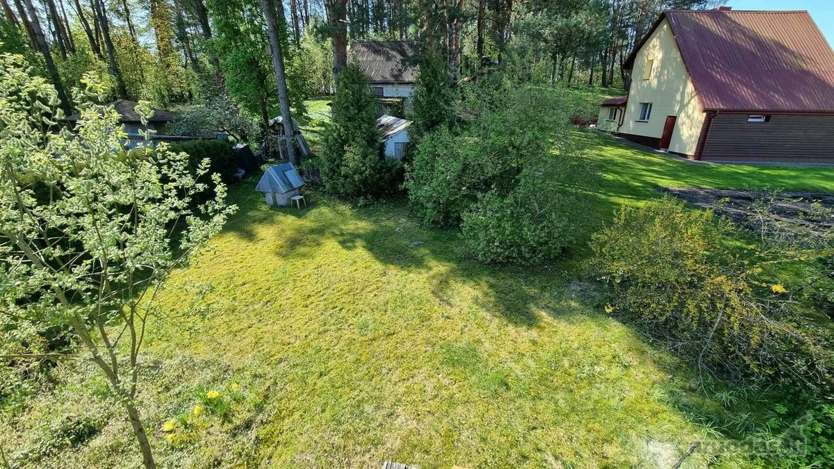 Parduodamas sodo namas šalia miško. Sklypo - nuotraukos Nr. 6