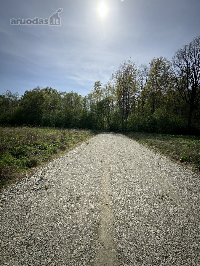 Parduodamas 56 Arų Sklypas Prie Miško – - nuotraukos Nr. 3