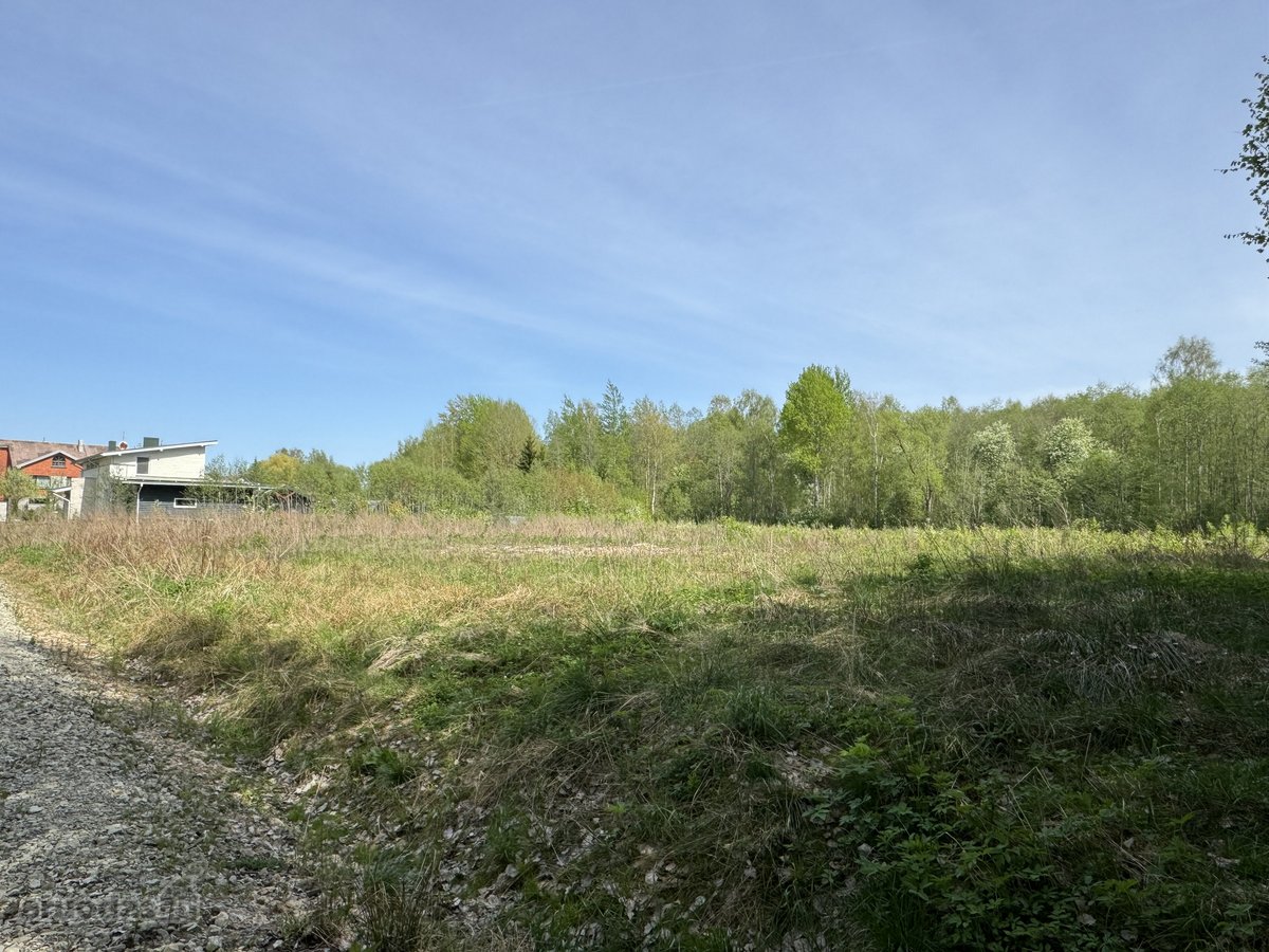 Parduodamas 56 Arų Sklypas Prie Miško – - nuotraukos Nr. 4