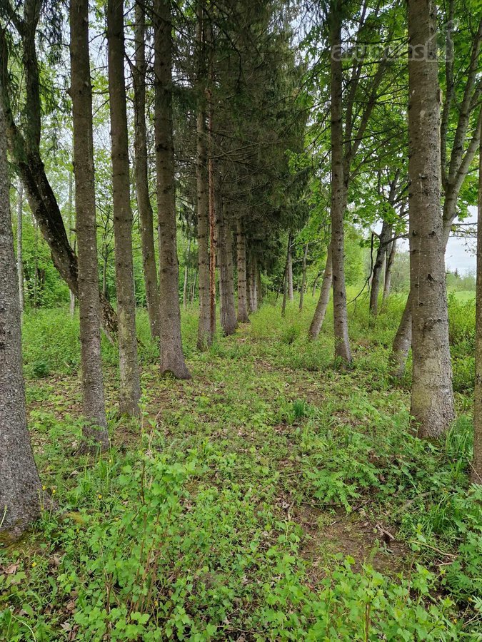 Parduodamas žemės sklypas labai vaizdingoje, - nuotraukos Nr. 3