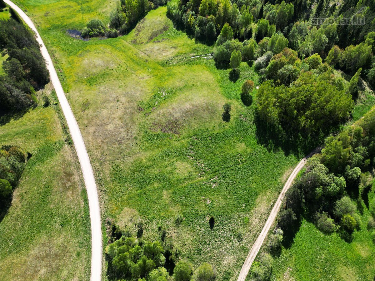 Parduodamas žemės ūkio paskirties sklypas - nuotraukos Nr. 4