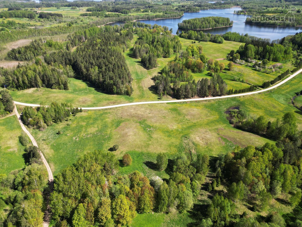 Parduodamas žemės ūkio paskirties sklypas - nuotraukos Nr. 2